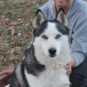 Meet your Posher, Tico